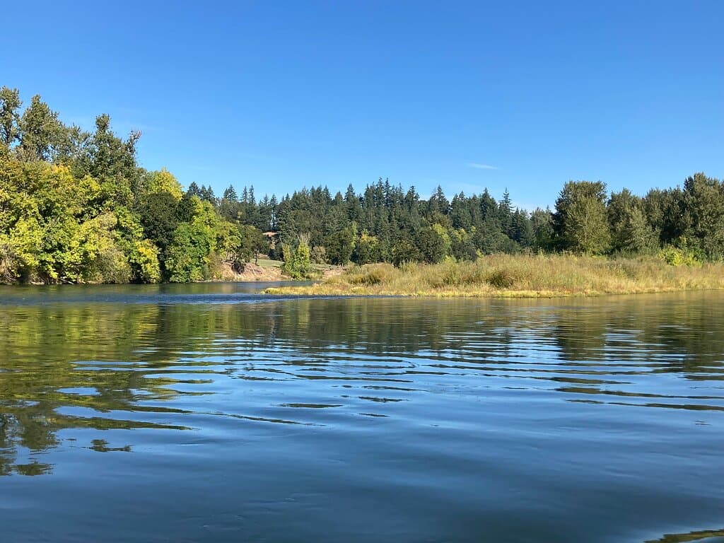 I live in Buena Vista OR and love the ferry.