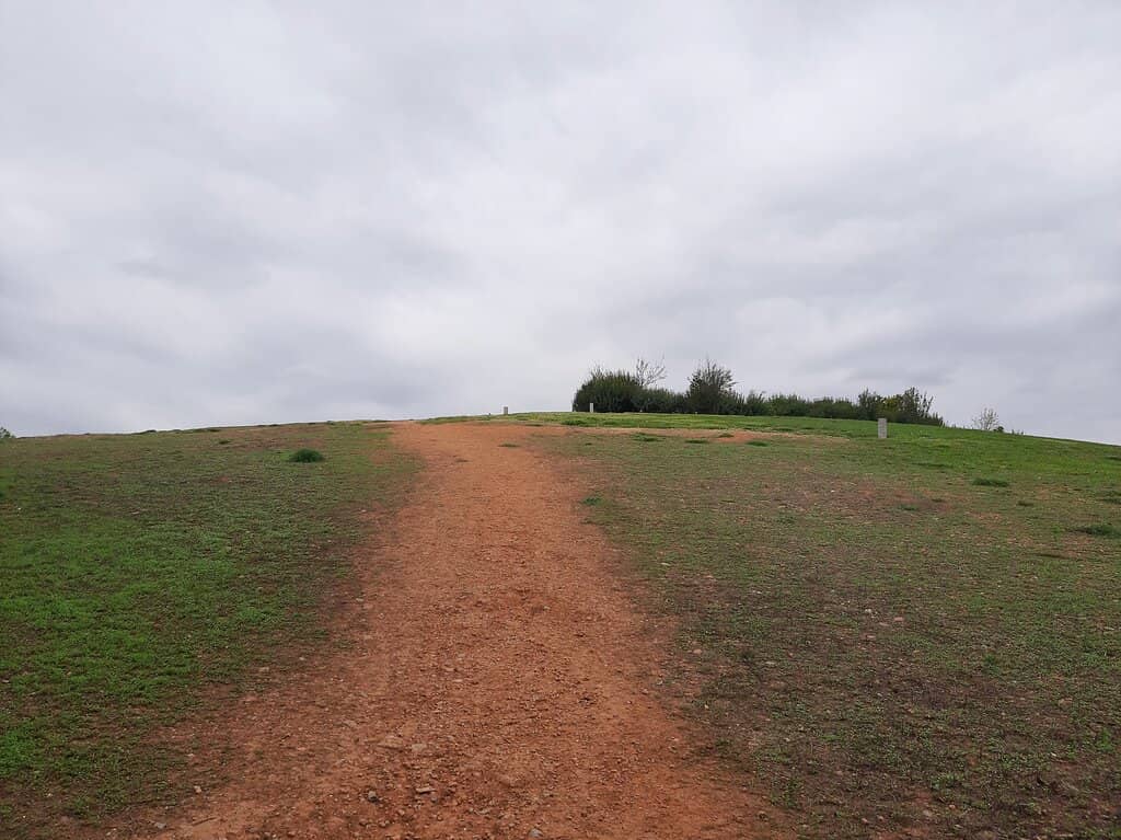 Ziplines and Adventure Zones