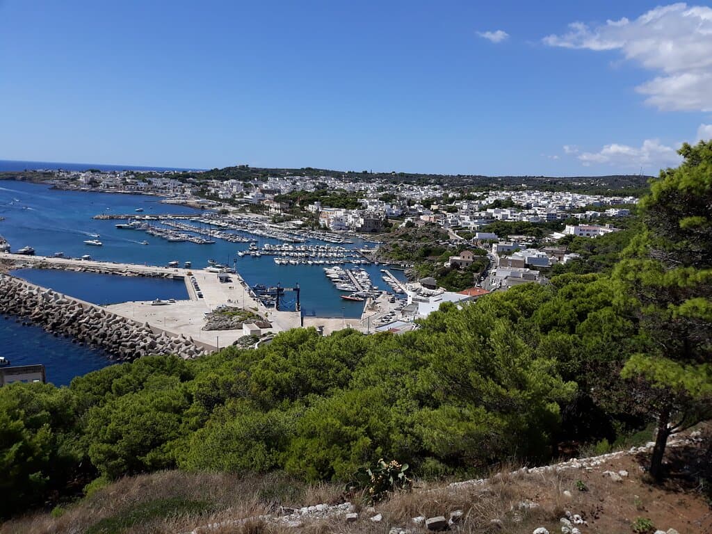 Panorama