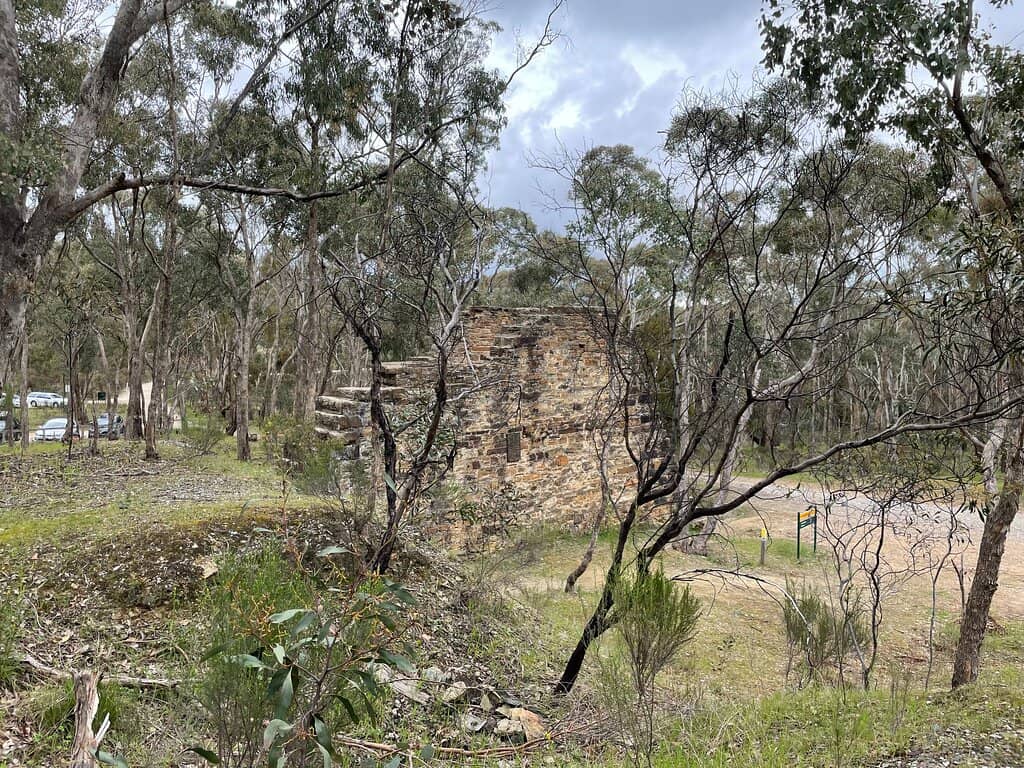 Surrounding Walking Trails