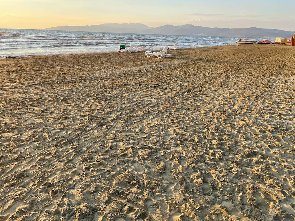 Vertical photo