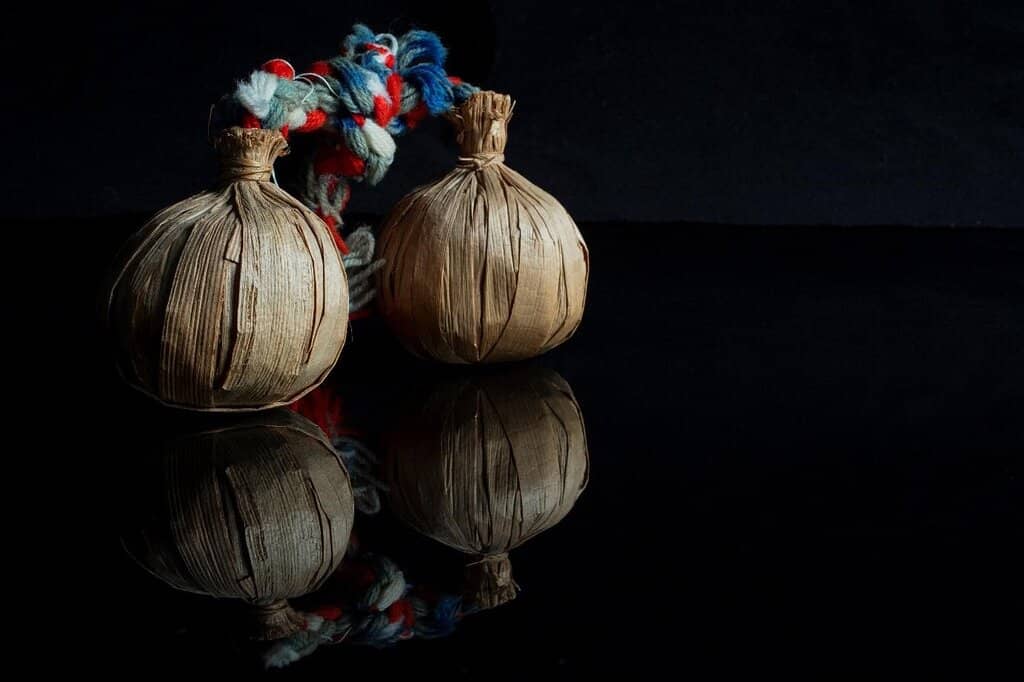 Cawthron Institute Celebration