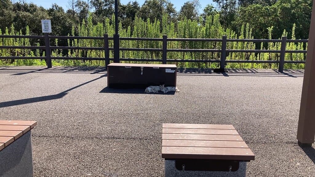 前々から気になっていた場所だったので行ってみる事に・・・  津波の高台避難所みたいですが、この高さで津波は大丈夫なのか?  やたら猫が居て、癒される場所でもありました・・・