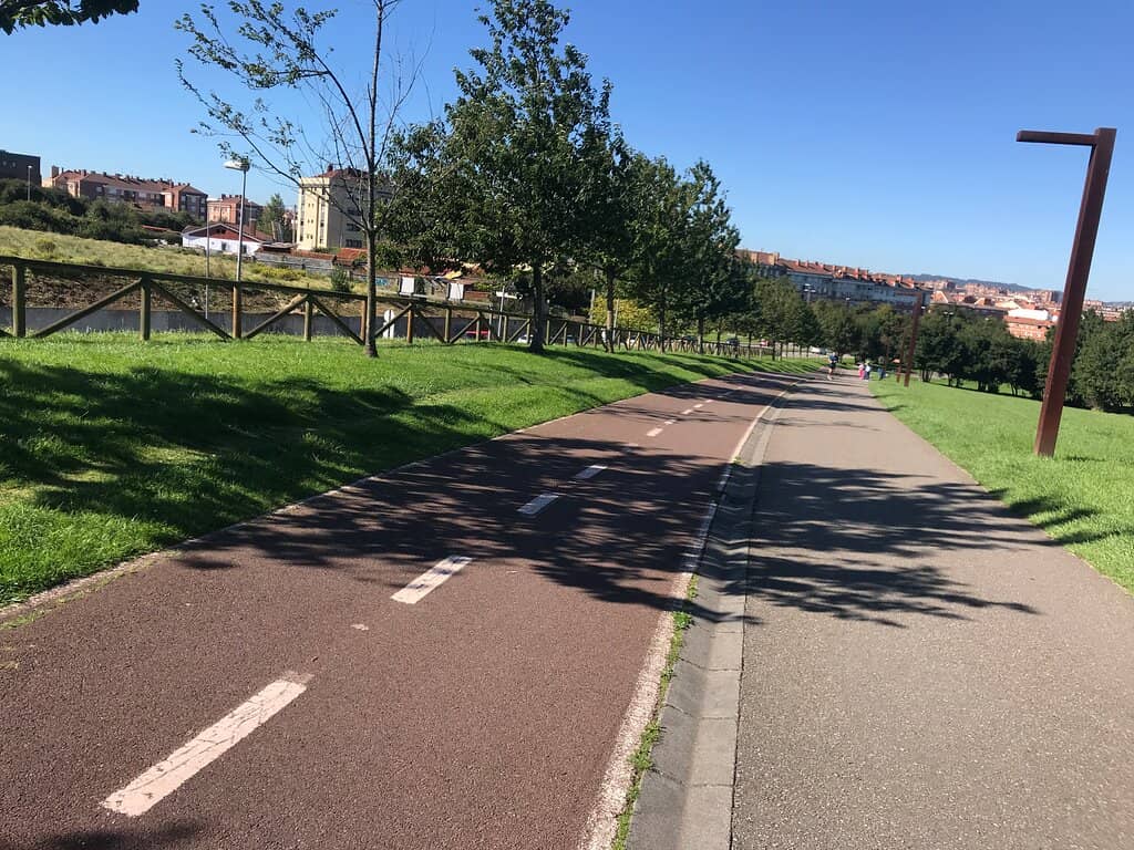 Dog-Friendly Green Spaces