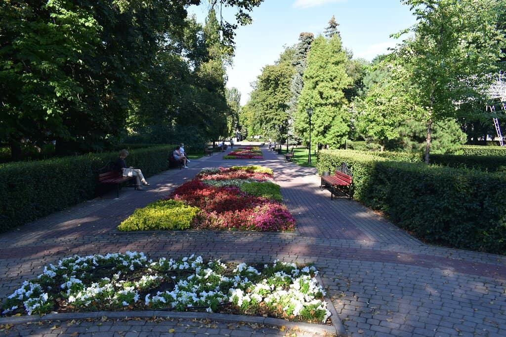 Lush Greenery