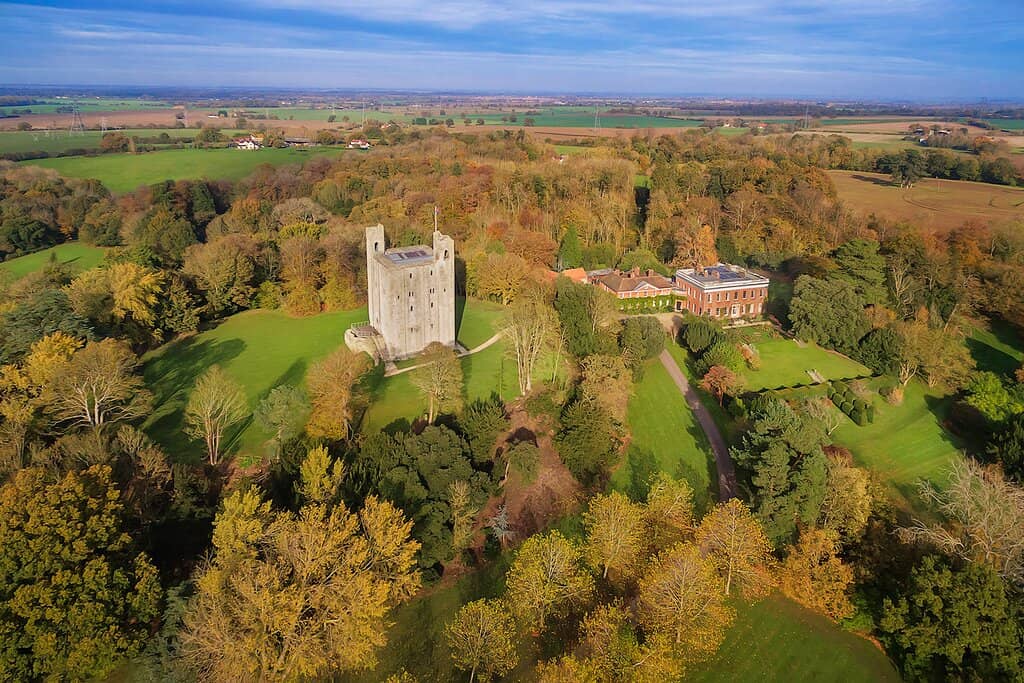 Immaculate Grounds