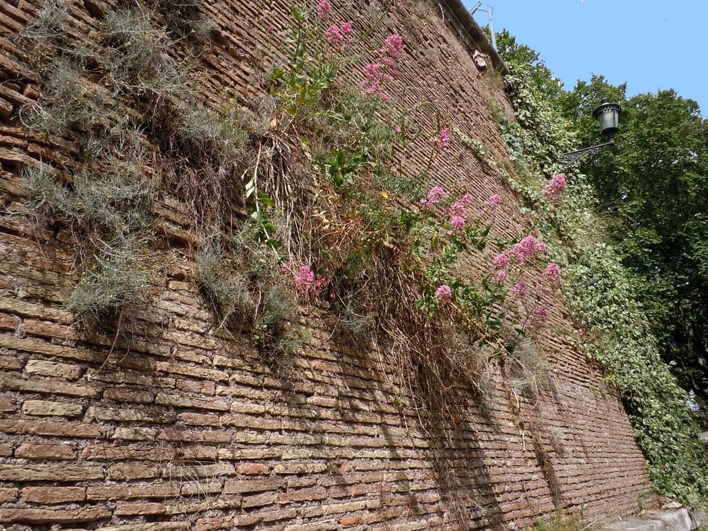 Porta Praetoria
