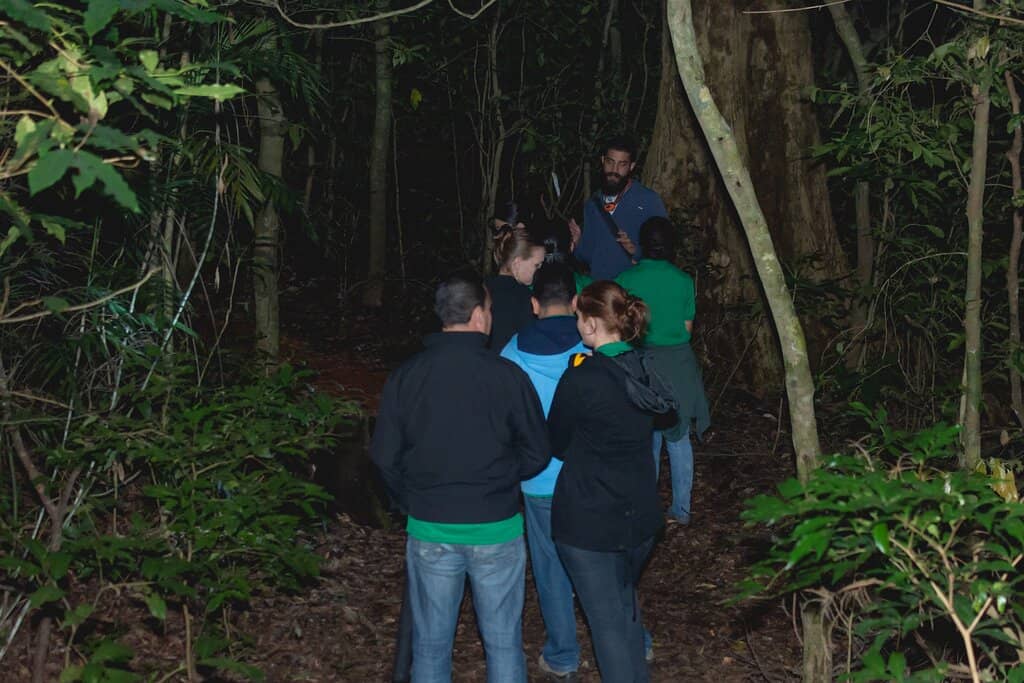 Monteverde Cloud Forest Reserve