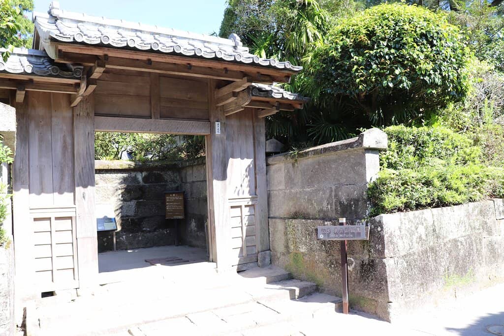 Sakurajima Volcano View