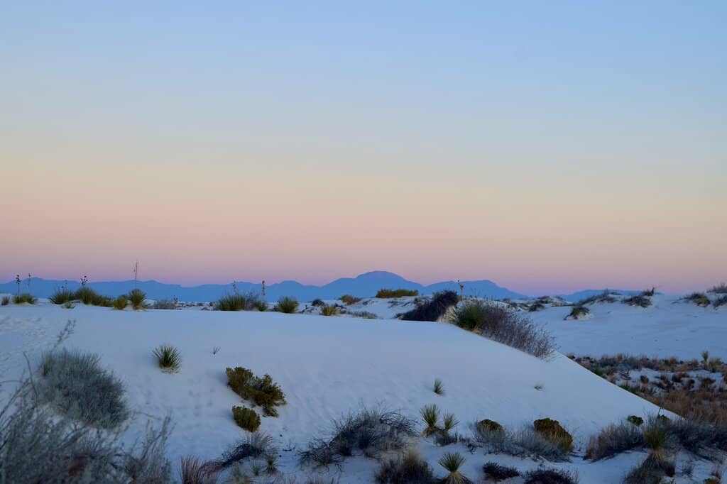 Elevated Dune Walk