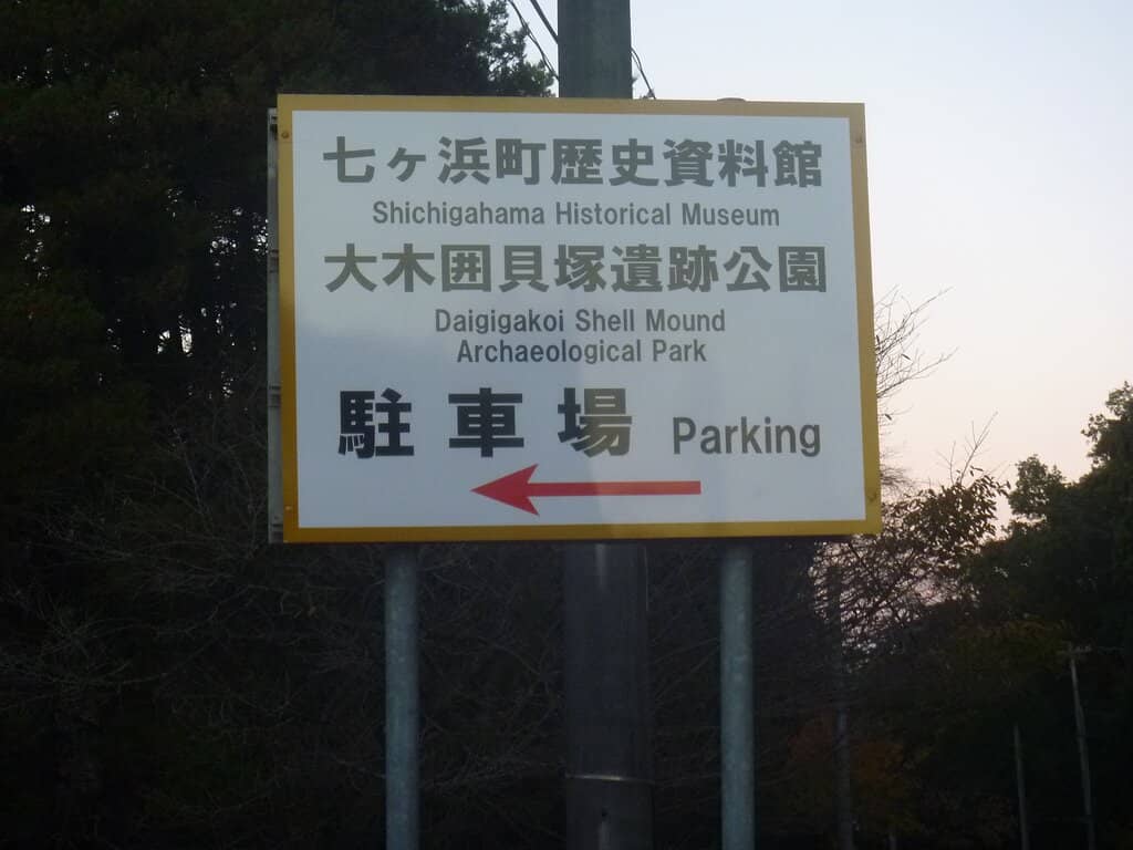 Shallow Cave Exploration