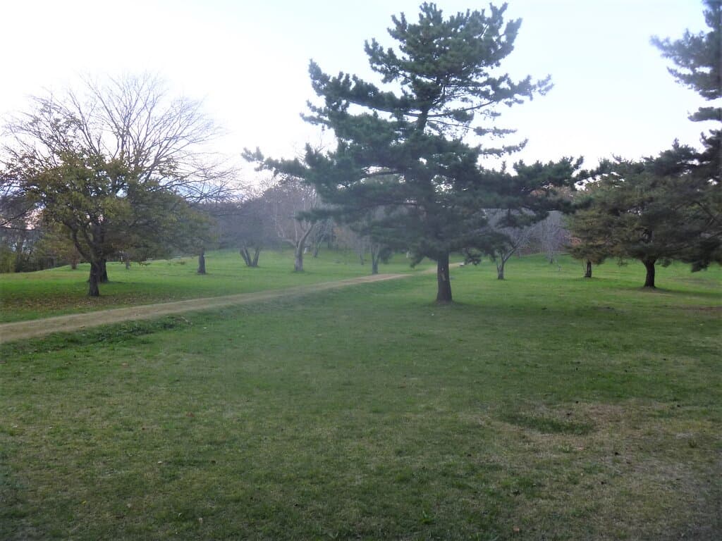 公園