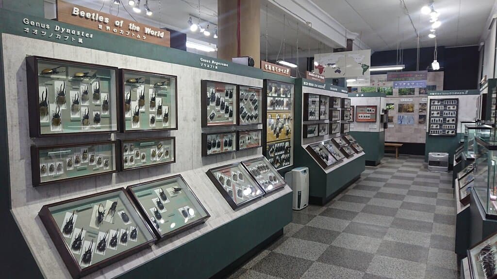 Nawa Insect Museum