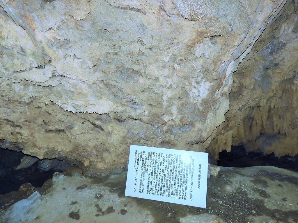 The Legend of the Wishing Door