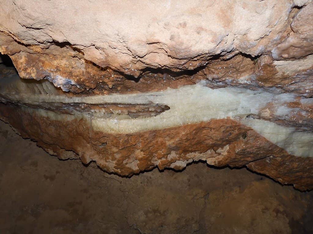 Informative Guided Tours