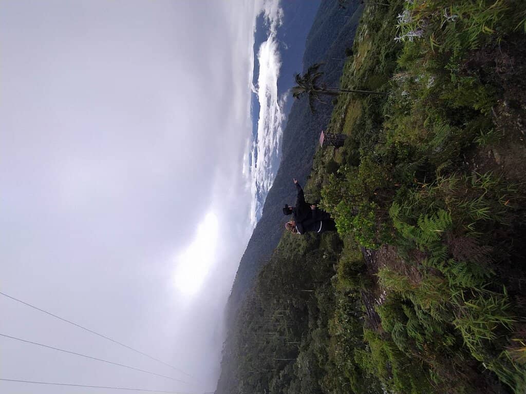 The Observation Tower