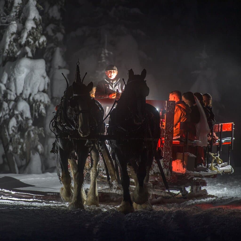 Horse-Drawn Sleigh Rides