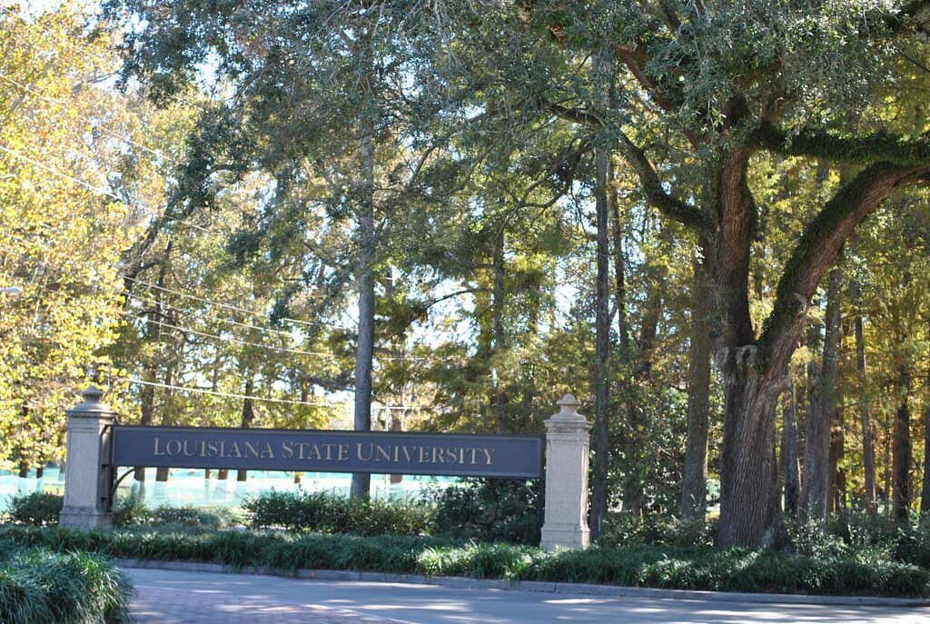 Tiger Stadium (Death Valley)