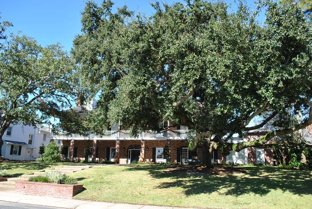 LSU Museum of Art