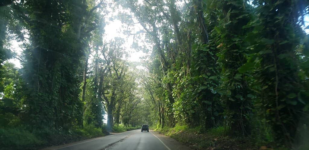 Scenic Drive to Koloa