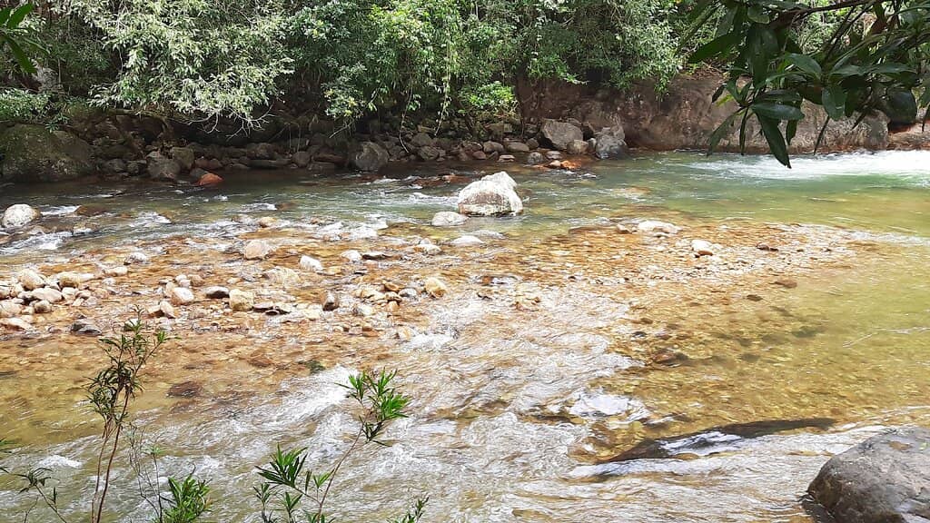 Nature Trek
