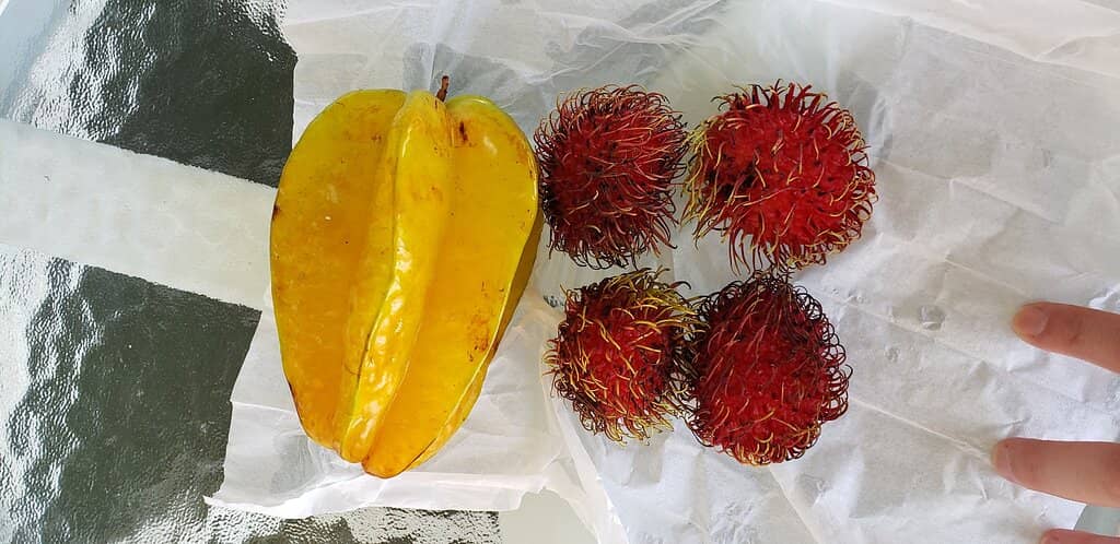 Local Delicacies