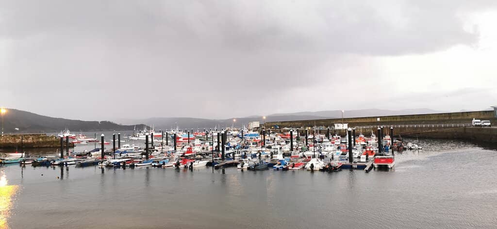 Fresh Seafood Delights