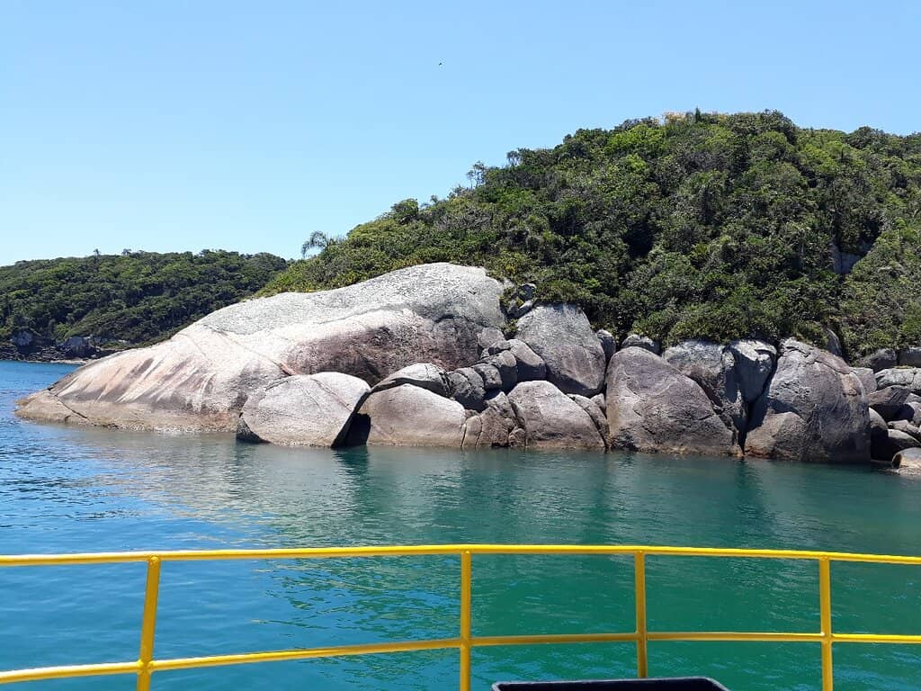 Ilha do Arvoredo Marine Reserve