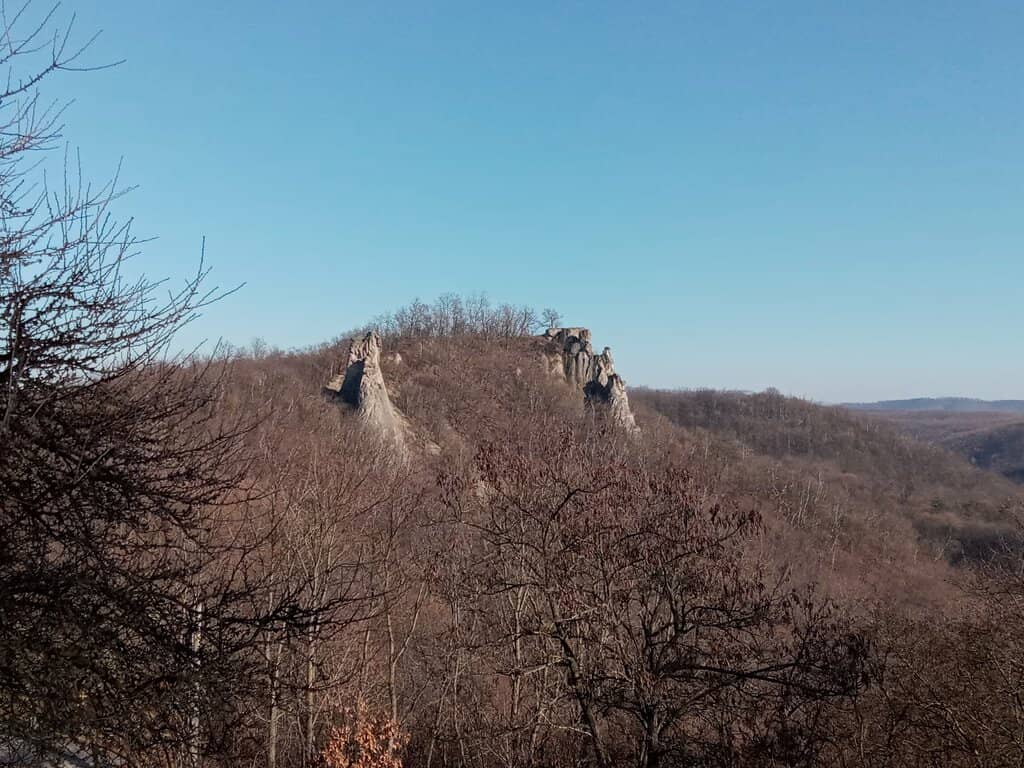 Panoramic Views