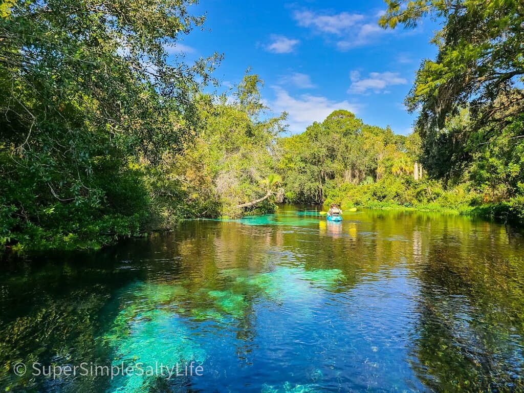 Weeki Wachee River
