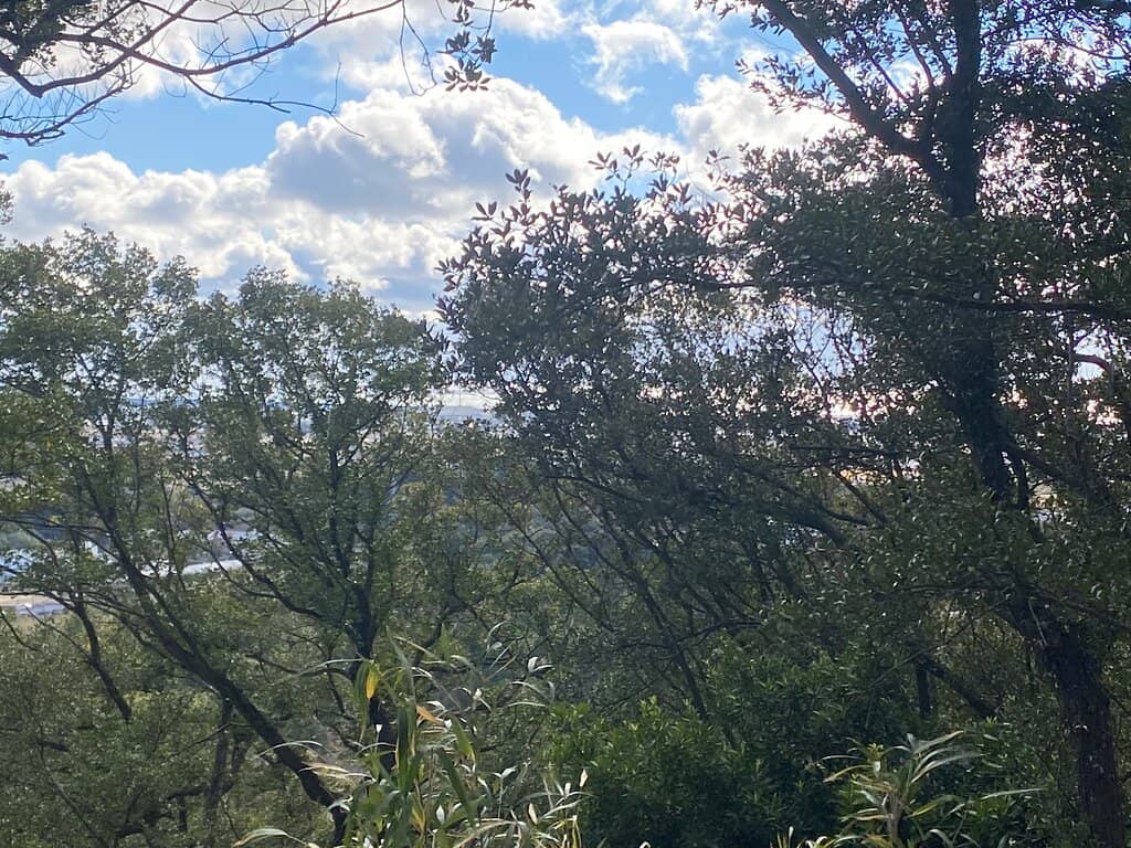 Vertical photo