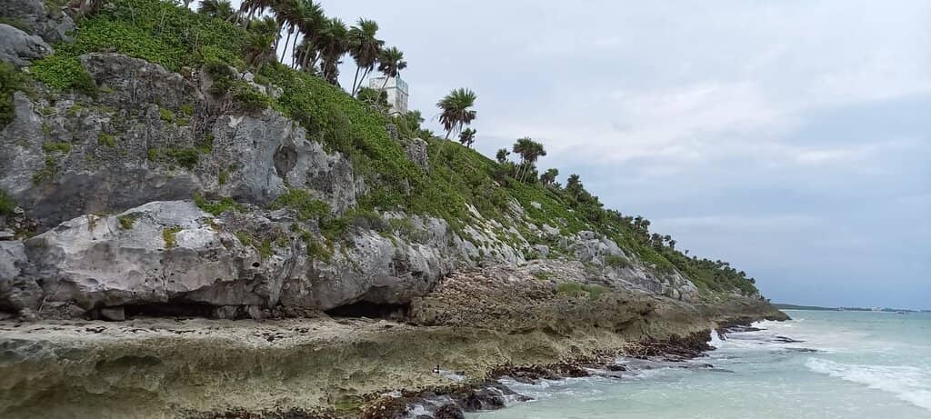 Marine Life Encounters