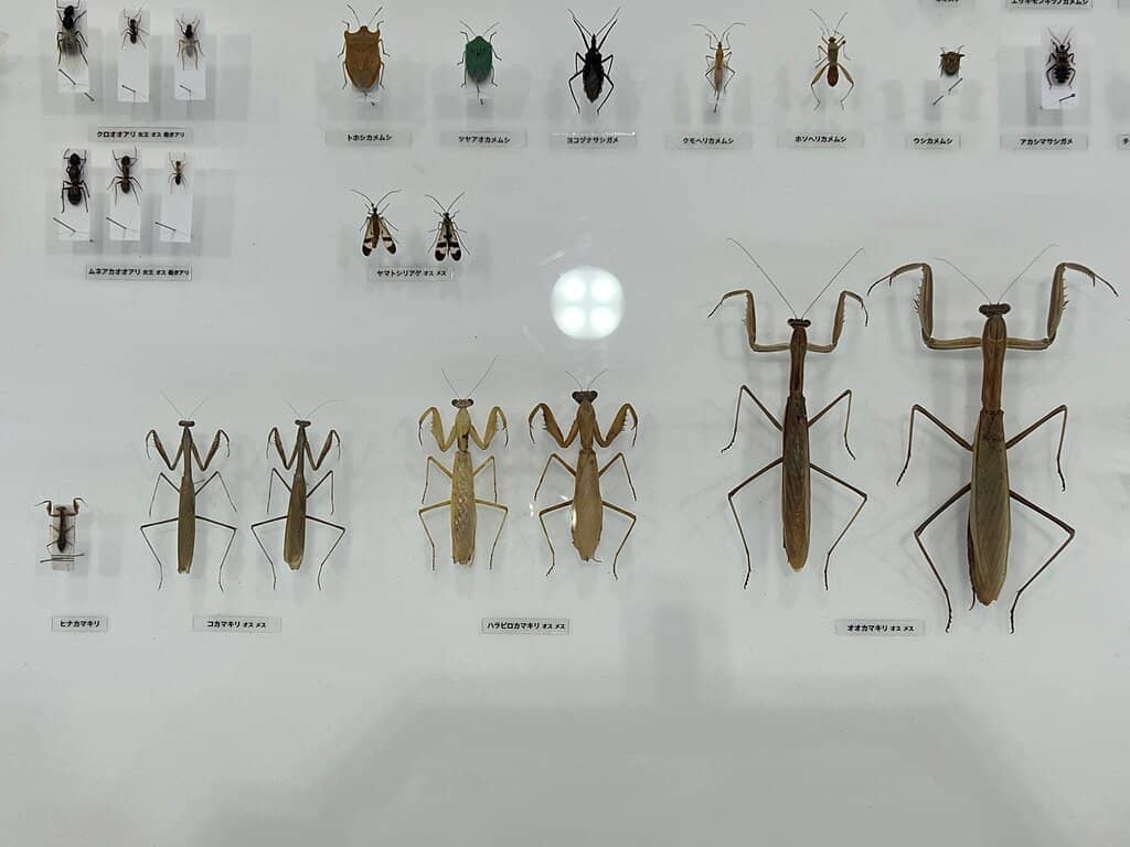 Outdoor Terrace Views