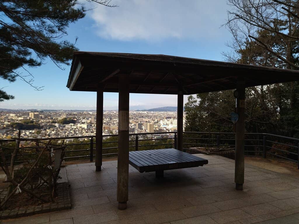 Vertical photo