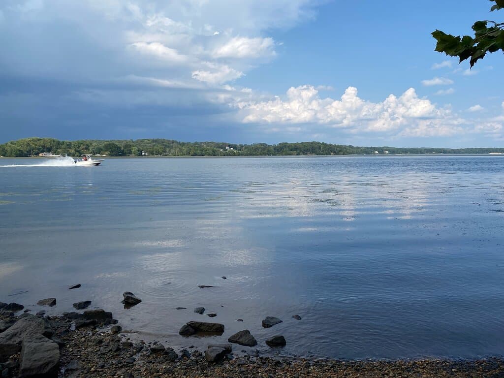 Water