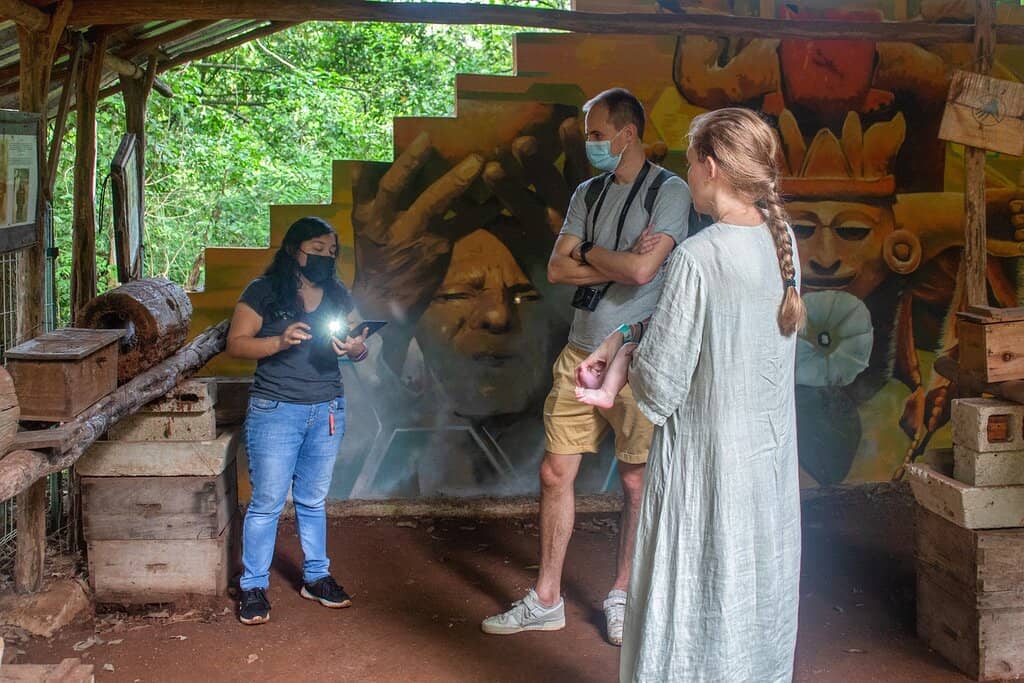 Mayan Stingless Bee Hives