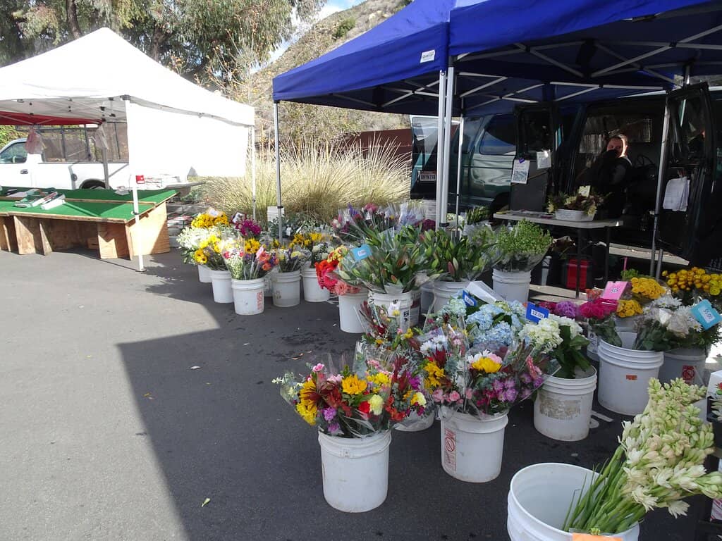 Fresh Produce Galore