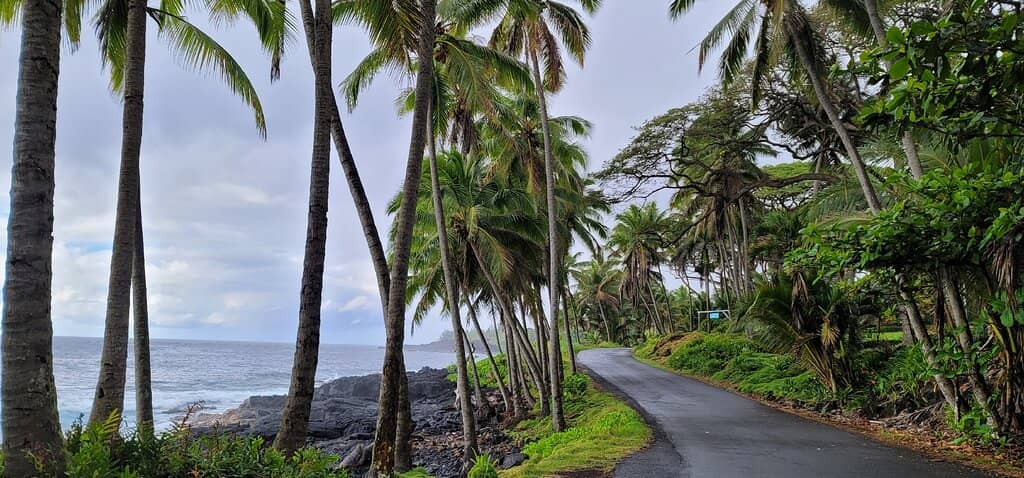 Dramatic Lava Coastline