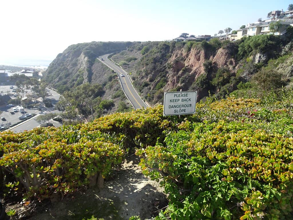 Sunday Oldies Music & Picnics