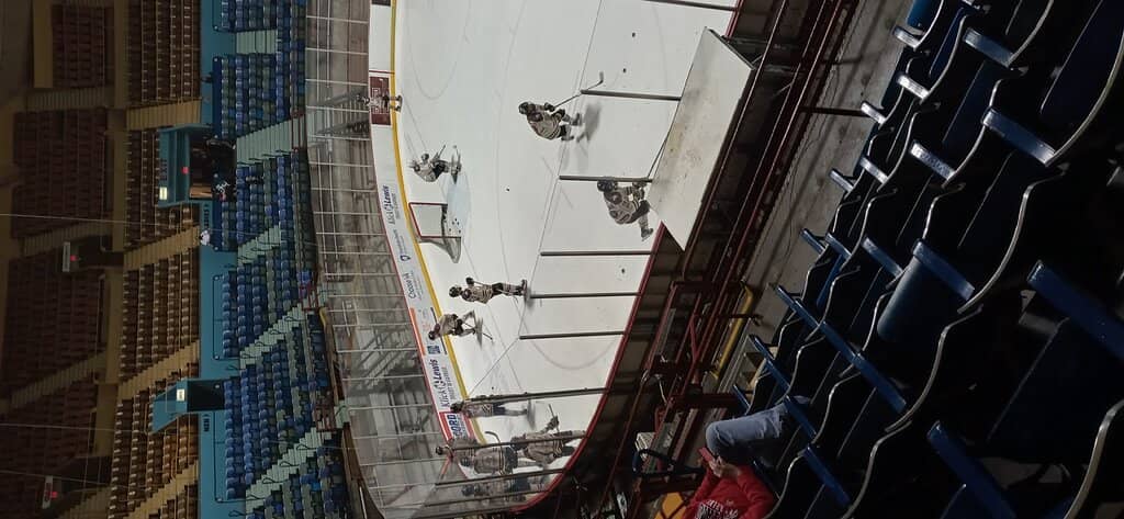 Figure Skating Performances