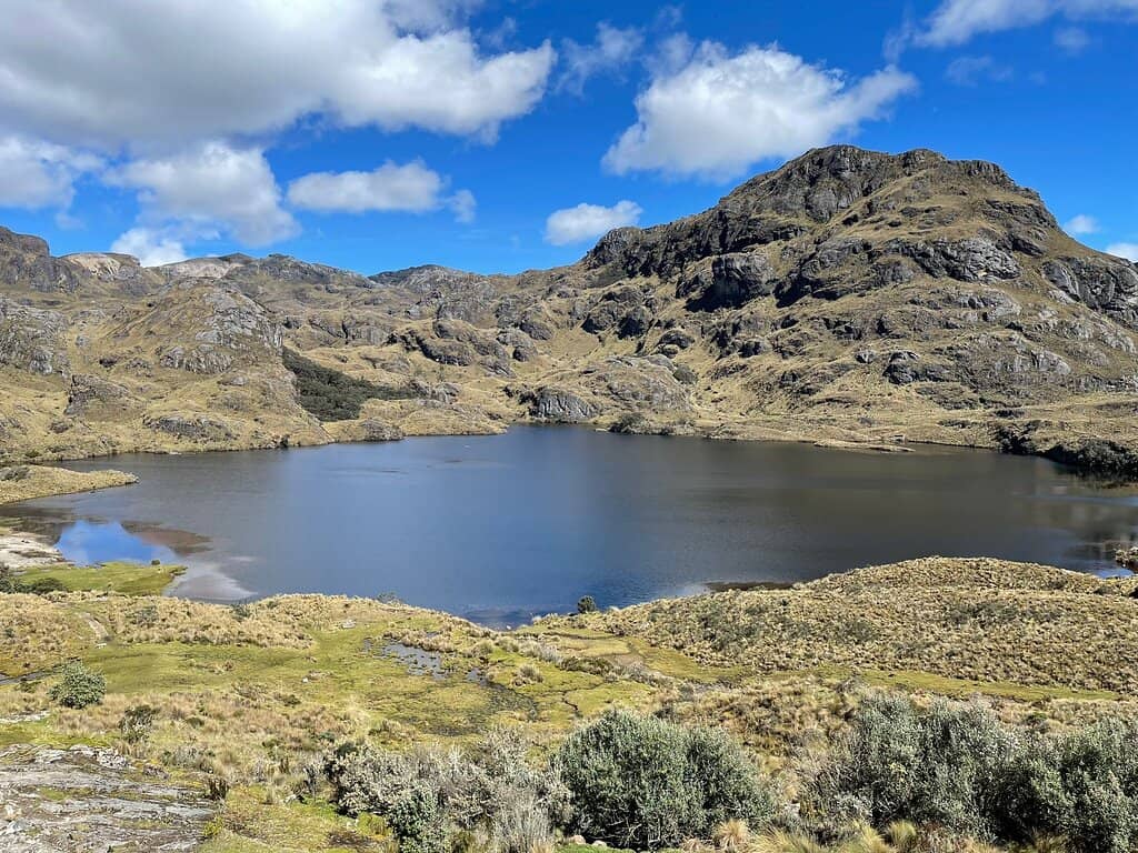 Cerro San Luis Summit Trail