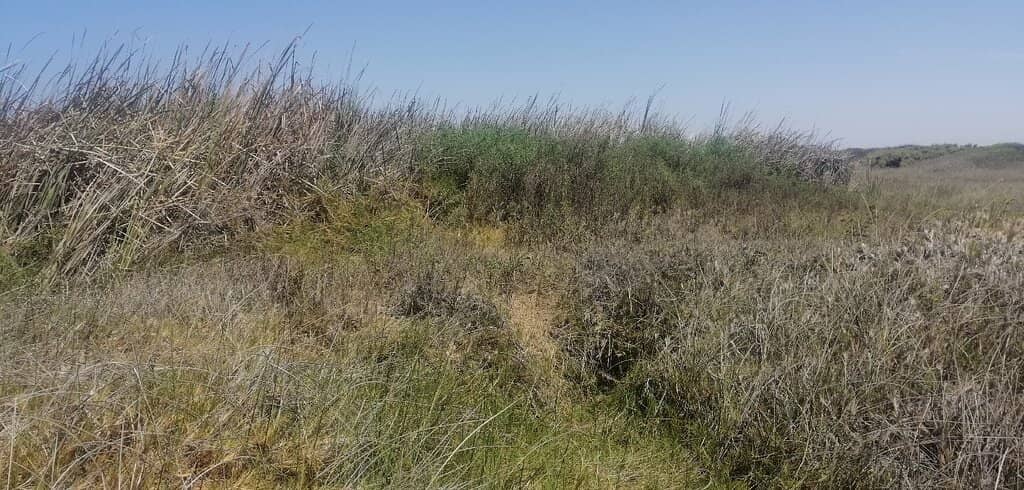 Ecological Research Site