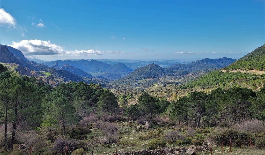 Vistas fantásticas sobre la sierra de Grazalema