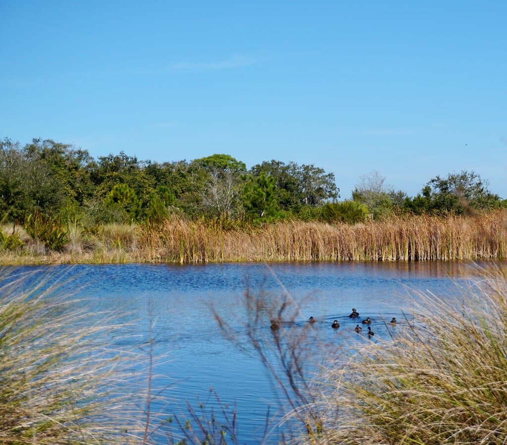 Perico Preserve