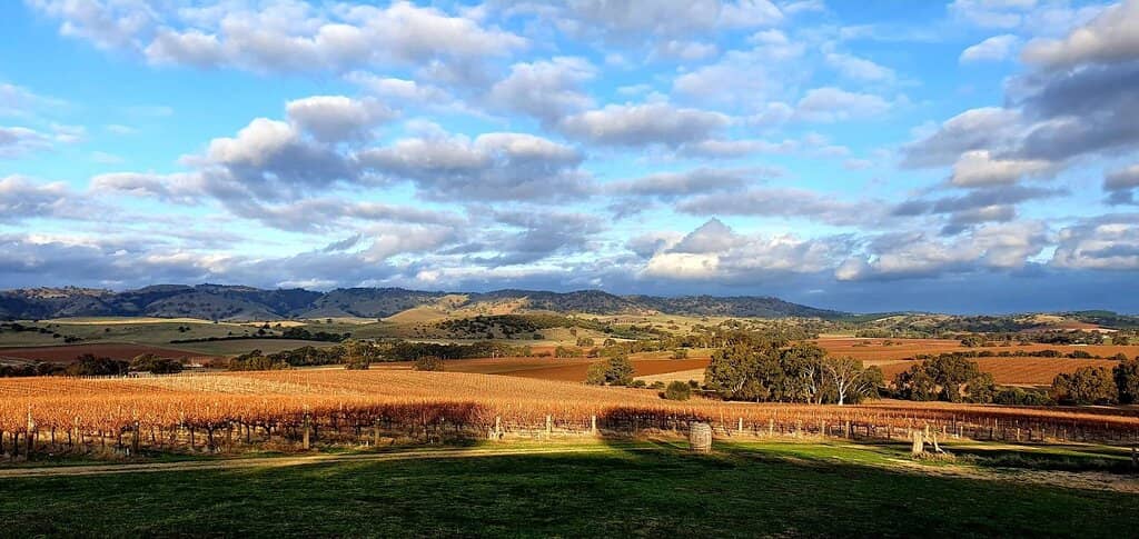 Boutique Barossa Valley Wines