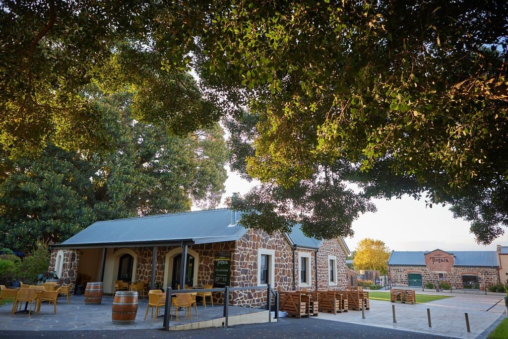 Hardys Tintara Cellar Door, located in the first cottage on the property beneath the Moreton Bay and Port Jackson Fig Trees
