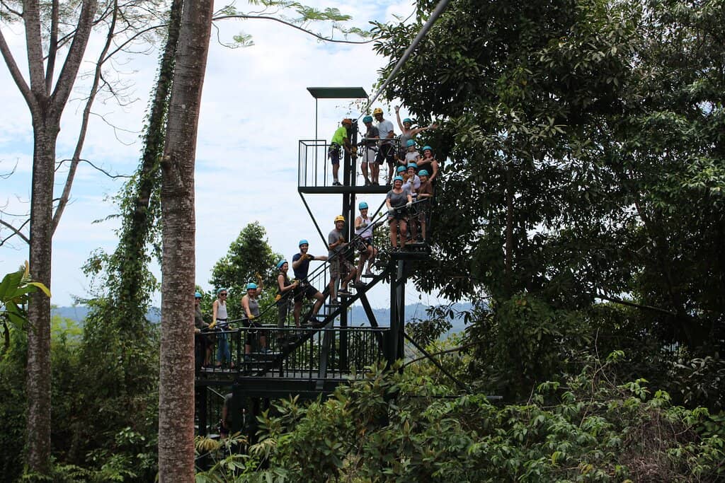 Hanging Bridges