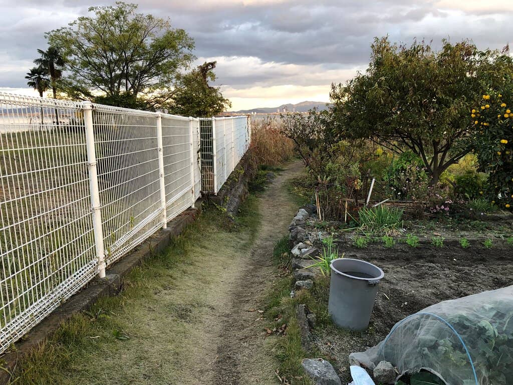 Akechi Mitsuhide Statue