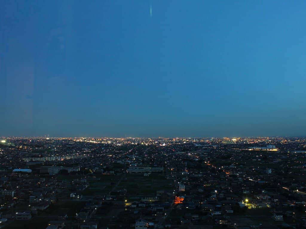 Botanical Garden Blooms