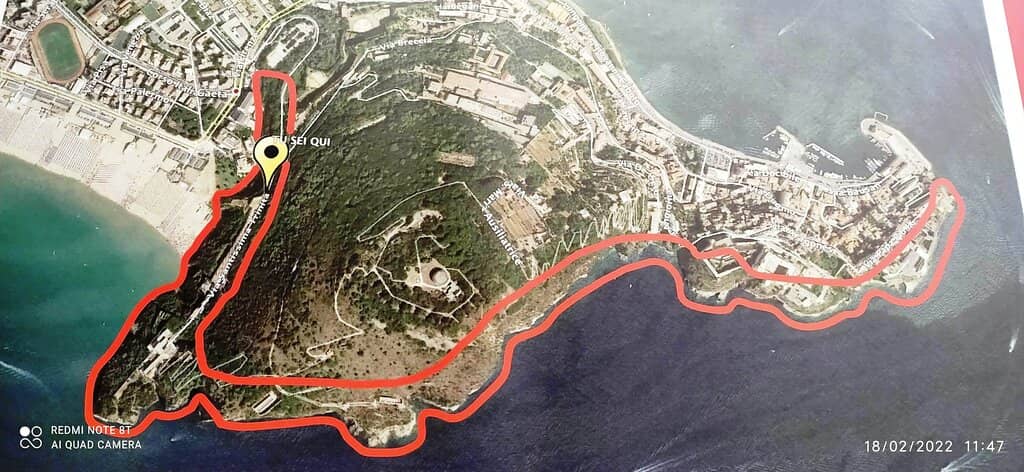 Scenic Woodland Walk